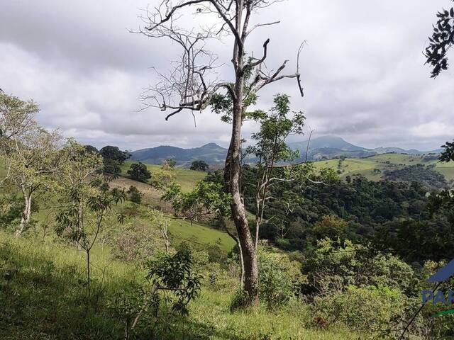 Terreno Rural para Venda em Paraisópolis - 4