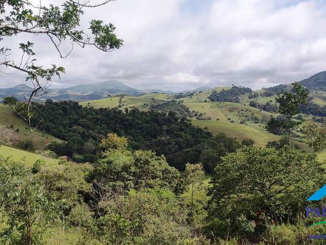 #195 - Chácara para Venda em Paraisópolis - MG - 1