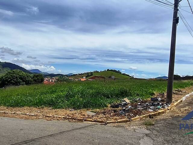 Terreno para Venda em Paraisópolis - 4