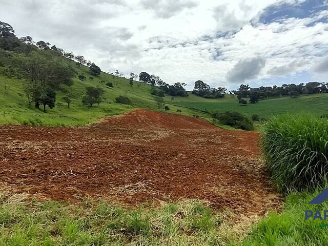 Sítio para Venda em Paraisópolis - 5
