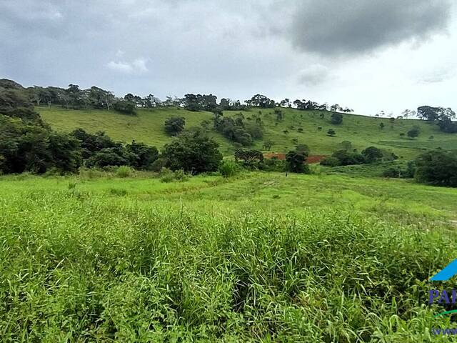 Venda em Centro - Paraisópolis