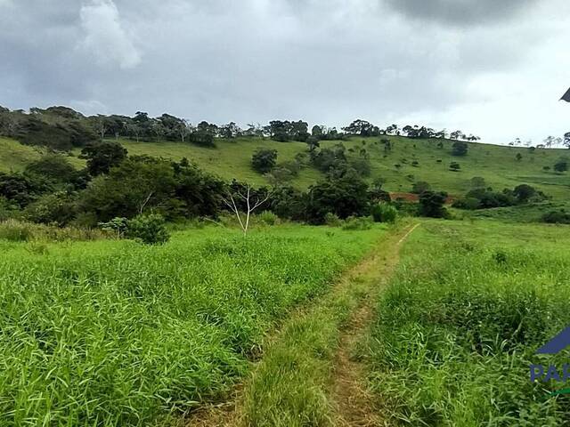 Sítio para Venda em Paraisópolis - 4