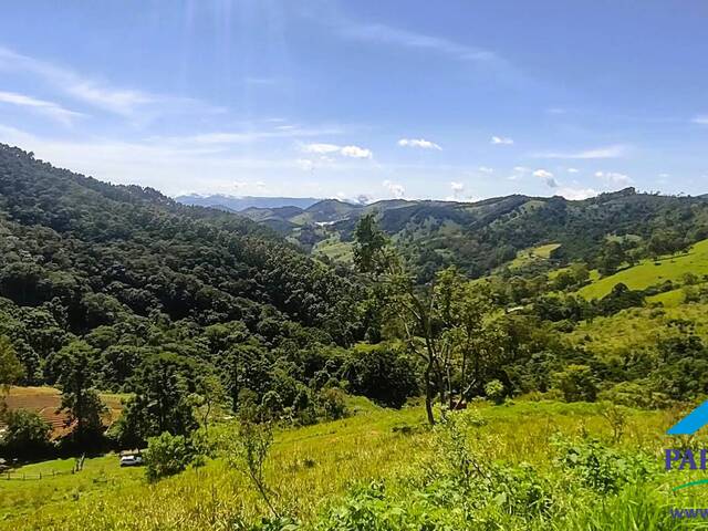 #203 - Terreno Rural para Venda em Paraisópolis - MG - 1