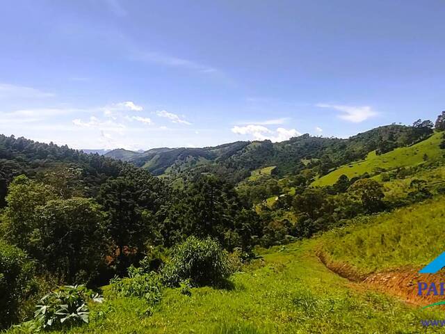 #203 - Terreno Rural para Venda em Paraisópolis - MG - 3