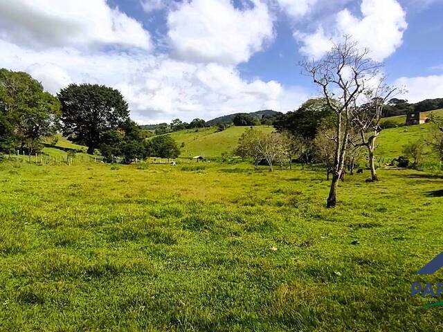 Terreno Rural para Venda em Paraisópolis - 4