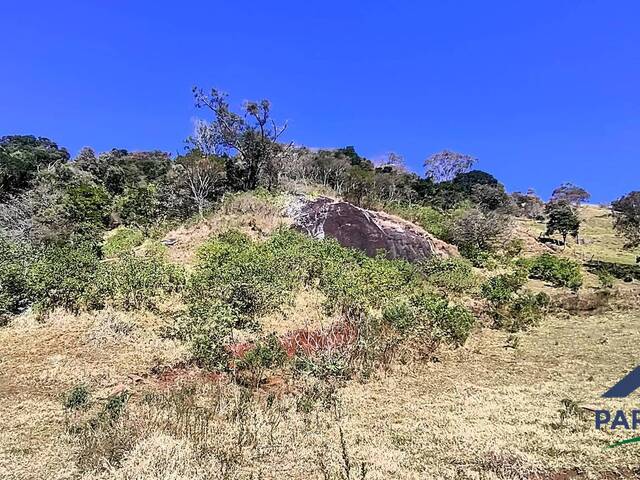 Terreno Rural para Venda em Paraisópolis - 4