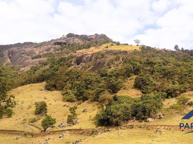 Terreno Rural para Venda em Paraisópolis - 4