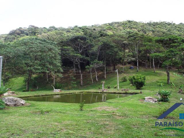 Terreno Rural para Venda em Paraisópolis - 4