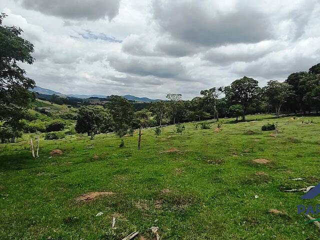 Terreno Rural para Venda em Paraisópolis - 5