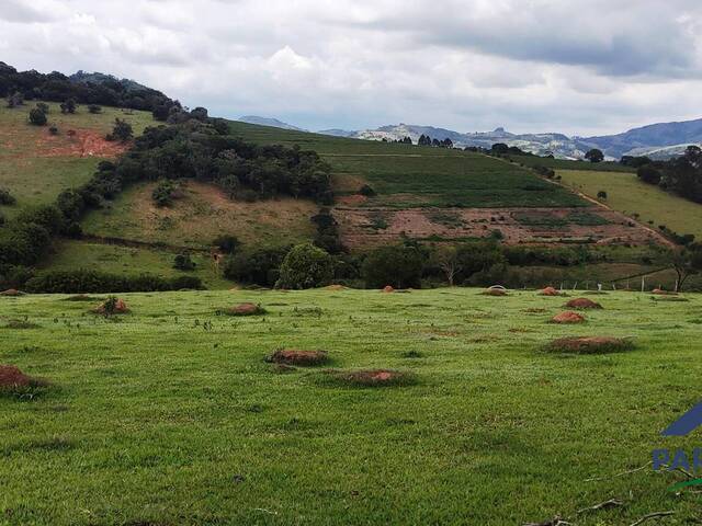 Terreno Rural para Venda em Paraisópolis - 4