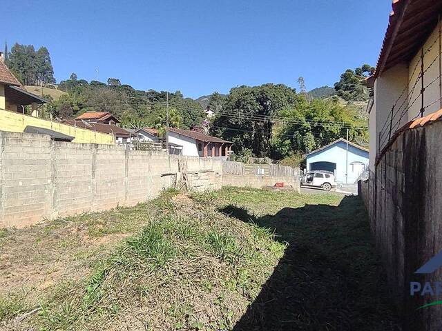Terreno para Venda em Paraisópolis - 4