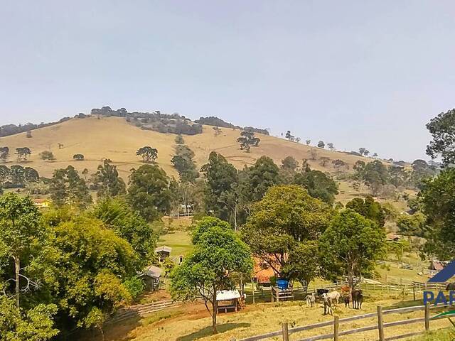 #242 - Sítio para Venda em Gonçalves - MG