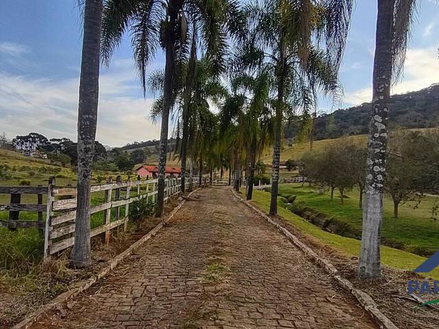 Terreno Rural para Venda em Paraisópolis - 4