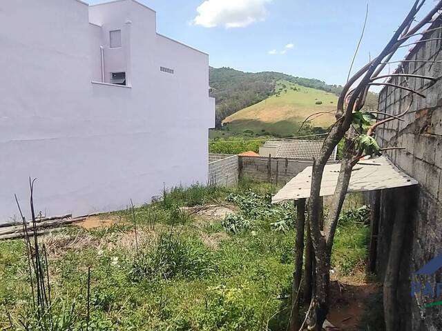 Terreno para Venda em Paraisópolis - 4