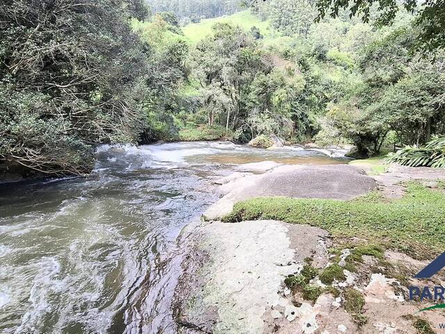 Terreno para Venda em Gonçalves - 4