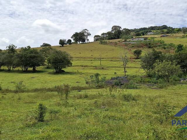 Chácara para Venda em Paraisópolis - 4