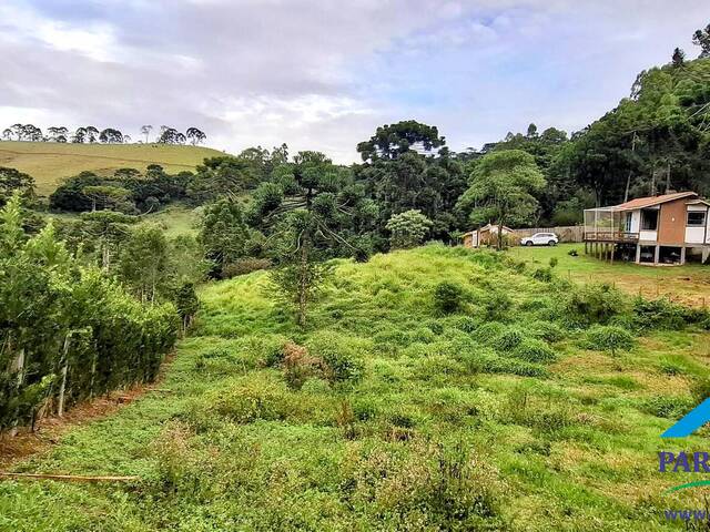 #280 - Terreno para Venda em Gonçalves - MG