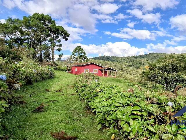 Chácara para Venda em Paraisópolis - 4