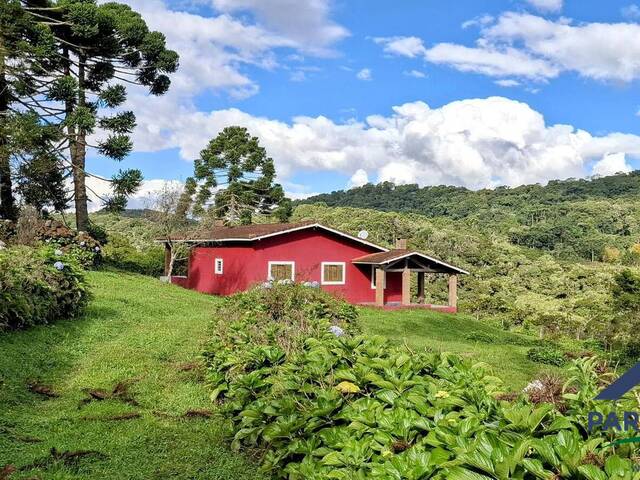 Chácara para Venda em Paraisópolis - 5