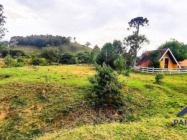 Chácara para Venda em Gonçalves - 4