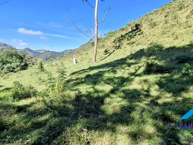 #289 - Chácara para Venda em Gonçalves - MG - 2