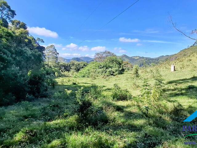 #289 - Chácara para Venda em Gonçalves - MG - 3