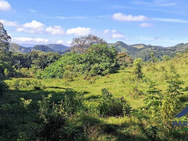 Terreno Rural para Venda em Gonçalves - 4