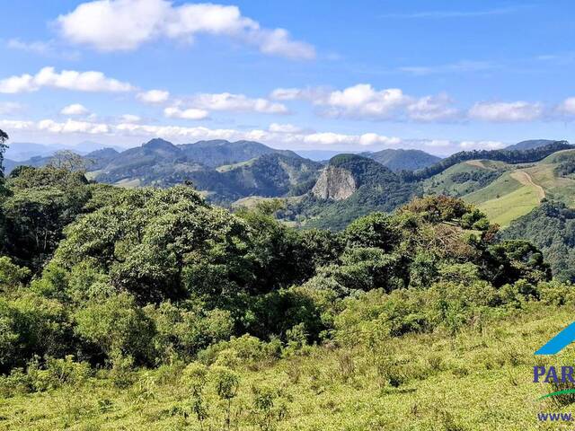 #289 - Terreno Rural para Venda em Gonçalves - MG