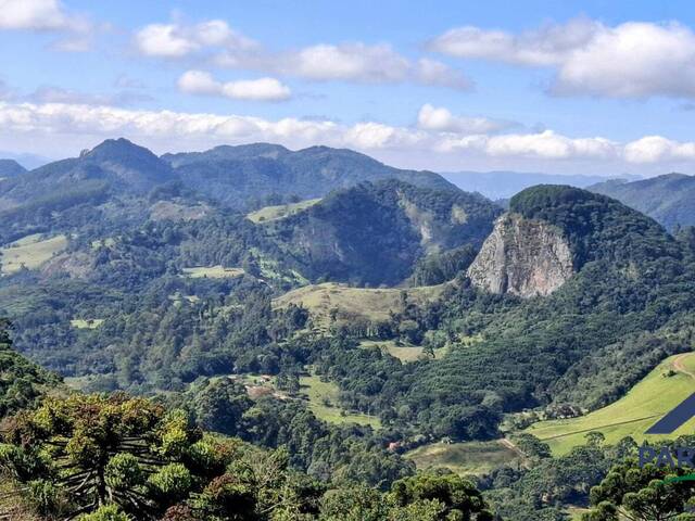 #289 - Terreno Rural para Venda em Gonçalves - MG - 2