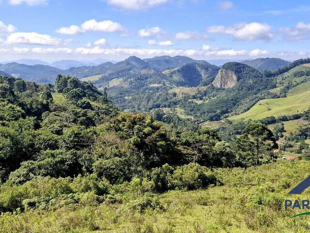 #289 - Terreno Rural para Venda em Gonçalves - MG - 3