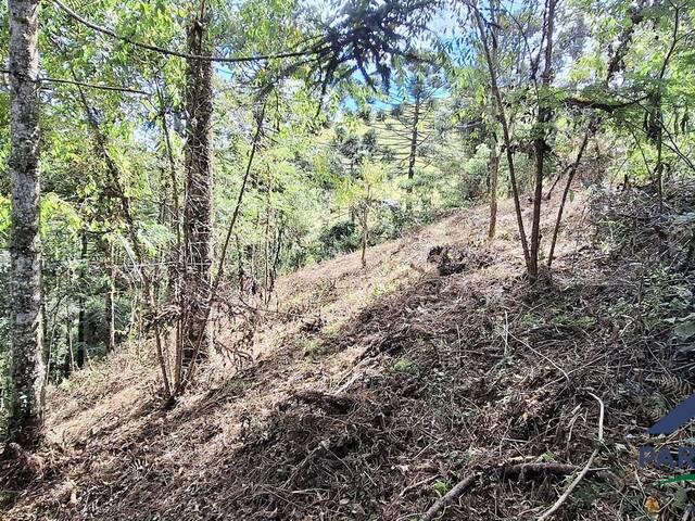 Terreno para Venda em Gonçalves - 4