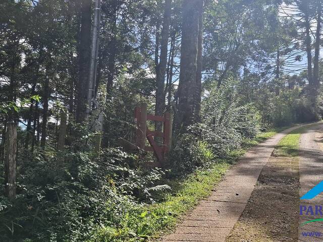 #292 - Terreno para Venda em Gonçalves - MG - 2