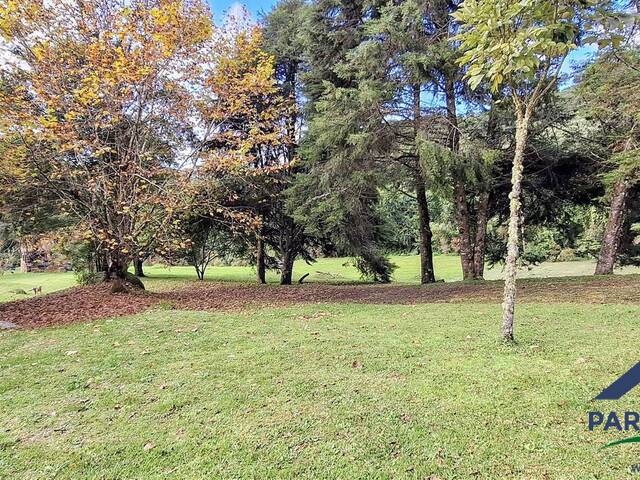 Chácara para Venda em Gonçalves - 5