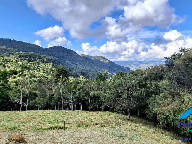 #295 - Casa para Locação em Gonçalves - MG - 2