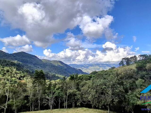 #295 - Casa para Locação em Gonçalves - MG - 3