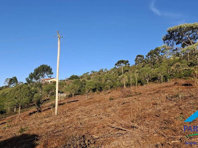 #296 - Terreno Rural para Venda em Gonçalves - MG - 2