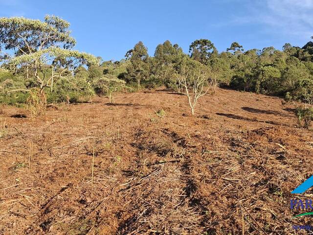 #296 - Terreno Rural para Venda em Gonçalves - MG - 3