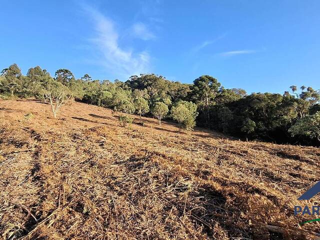 Terreno Rural para Venda em Gonçalves - 5