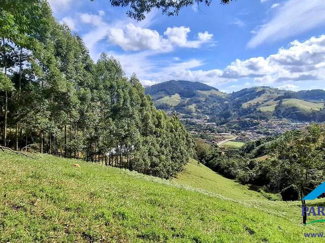 #298 - Terreno Rural para Venda em Paraisópolis - MG - 2