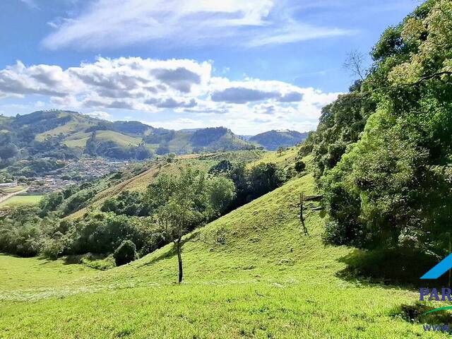 #298 - Terreno Rural para Venda em Paraisópolis - MG - 3