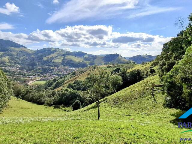 #298 - Terreno Rural para Venda em Paraisópolis - MG - 1