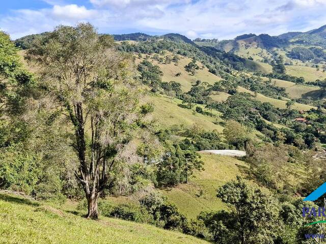 #298 - Terreno Rural para Venda em Paraisópolis - MG - 2