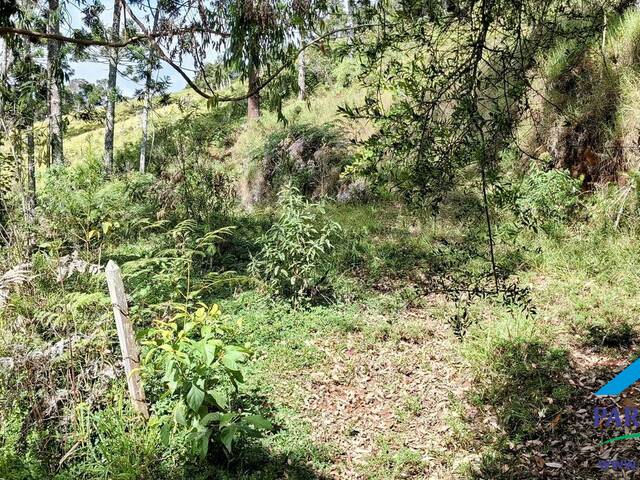 #299 - Terreno Rural para Venda em Gonçalves - MG - 2