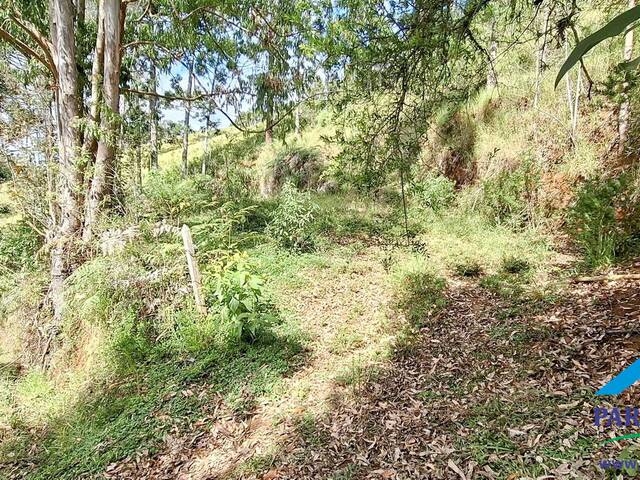 #299 - Terreno Rural para Venda em Gonçalves - MG - 3