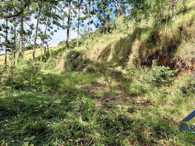 Terreno Rural para Venda em Gonçalves - 4