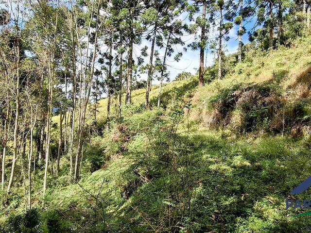 Terreno Rural para Venda em Gonçalves - 5