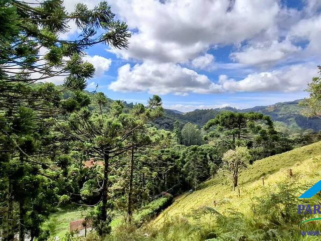 Venda em Centro - Gonçalves