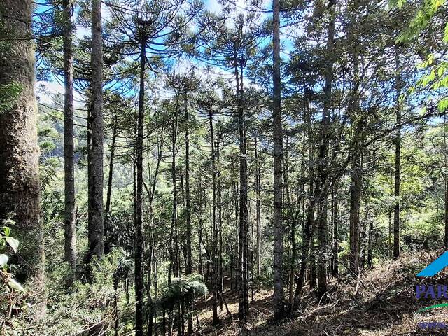 #302 - Terreno Rural para Venda em Gonçalves - MG - 2