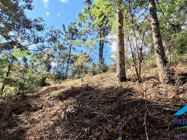 #302 - Terreno Rural para Venda em Gonçalves - MG - 3