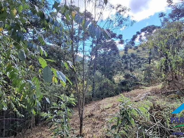 Venda em Centro - Gonçalves